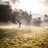 photographe-architecture-paysage–13