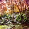 photographe-architecture-paysage–5
